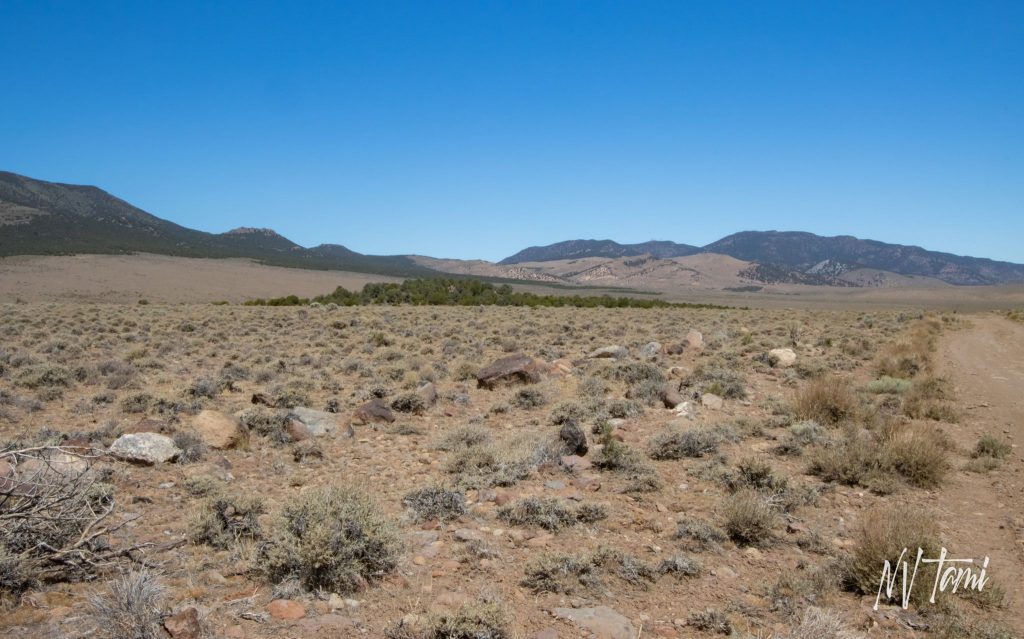 Como, Nevada - NEVADA GHOST TOWNS & BEYOND