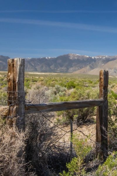 Delphi Nevada Ghost Town Mining Camp Abandoned Nevada Copper Belt Railroad Company Smith Valley