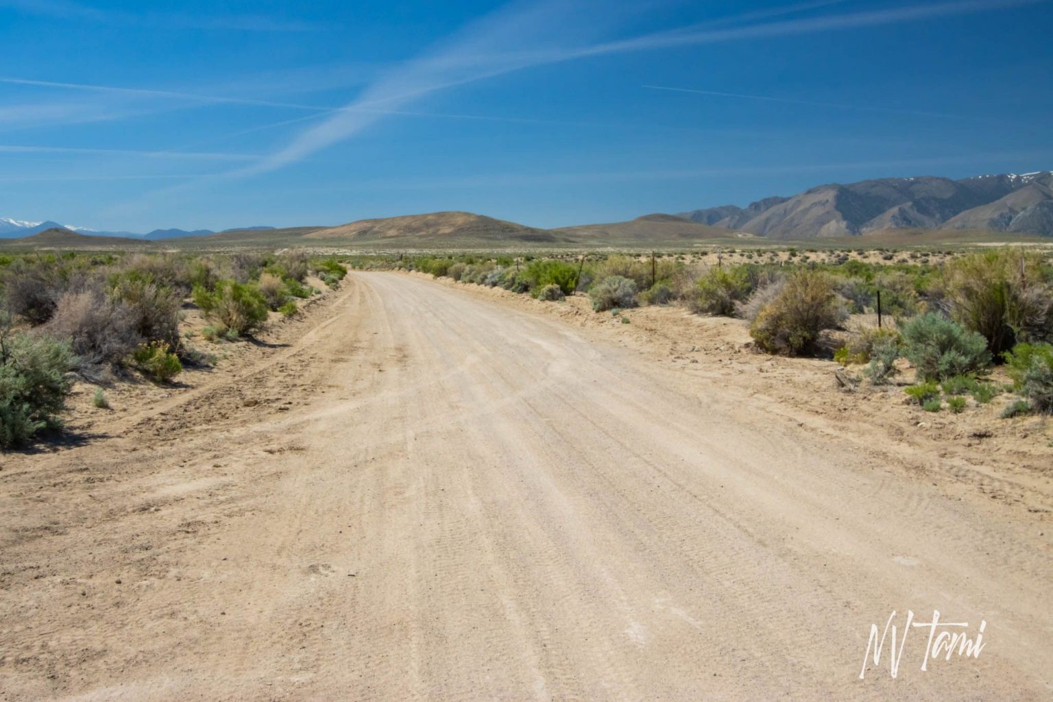 Delphi, Nevada - NEVADA GHOST TOWNS & BEYOND