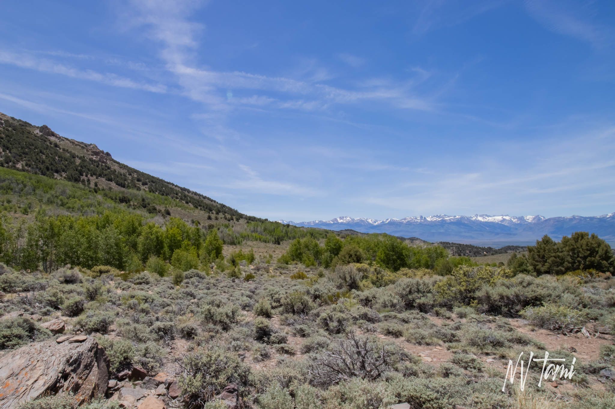 Chemung, California - NEVADA GHOST TOWNS & BEYOND