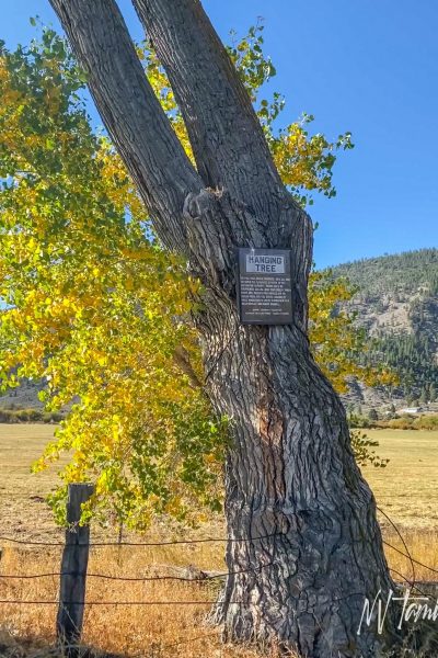 Haunted Carson Valley Genoa Nevada hanging tree