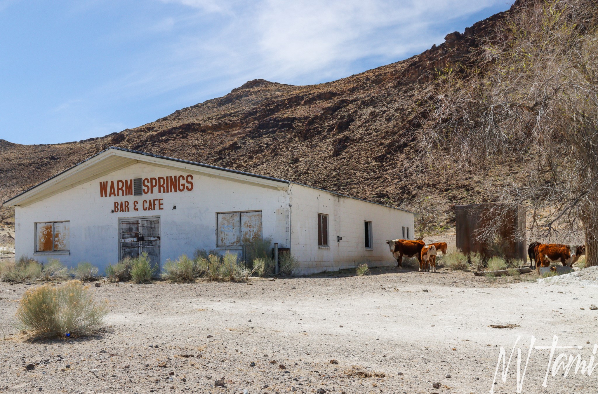 Warm Springs, Nevada Ghost Town - NEVADA GHOST TOWNS & BEYOND