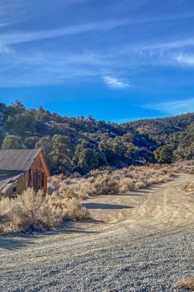 Pine Grove Nevada Ghost Town