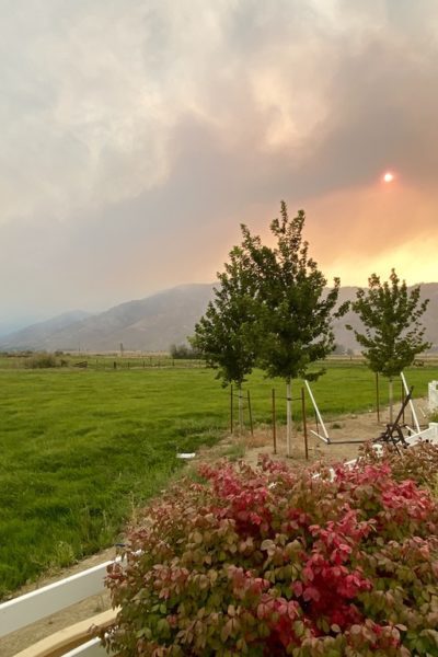 Caldor Fire California Carson Valley