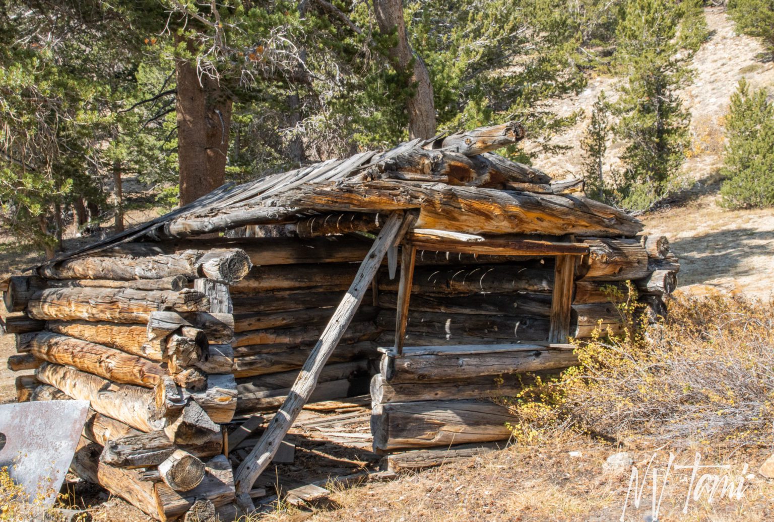 Ward Mining Camp California Ghost Town Nevada Ghost Towns And Beyond