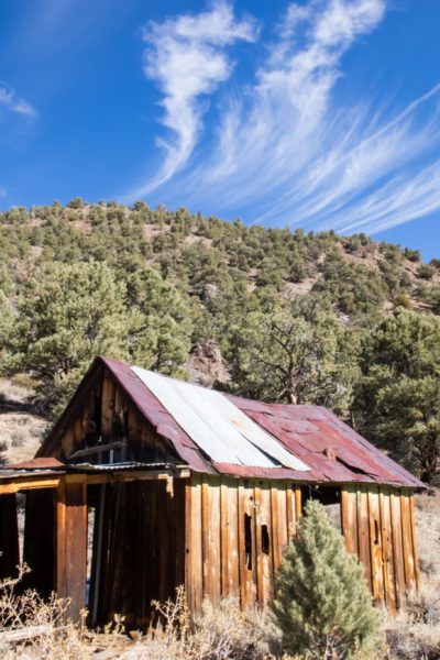 Perrini Mine Mono Miners Cabin Ghost Town California