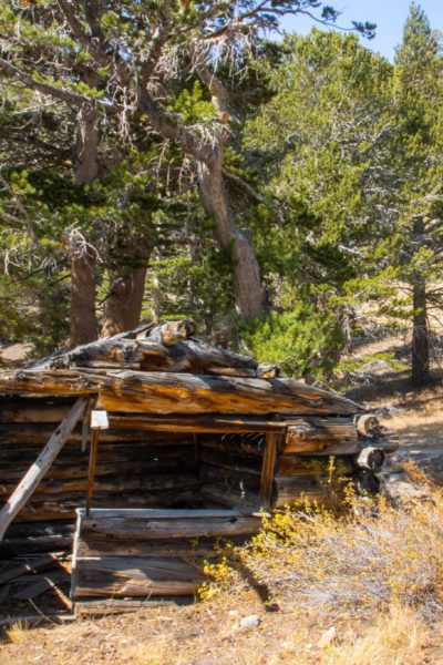 Ward Mining Camp Ghost Town California