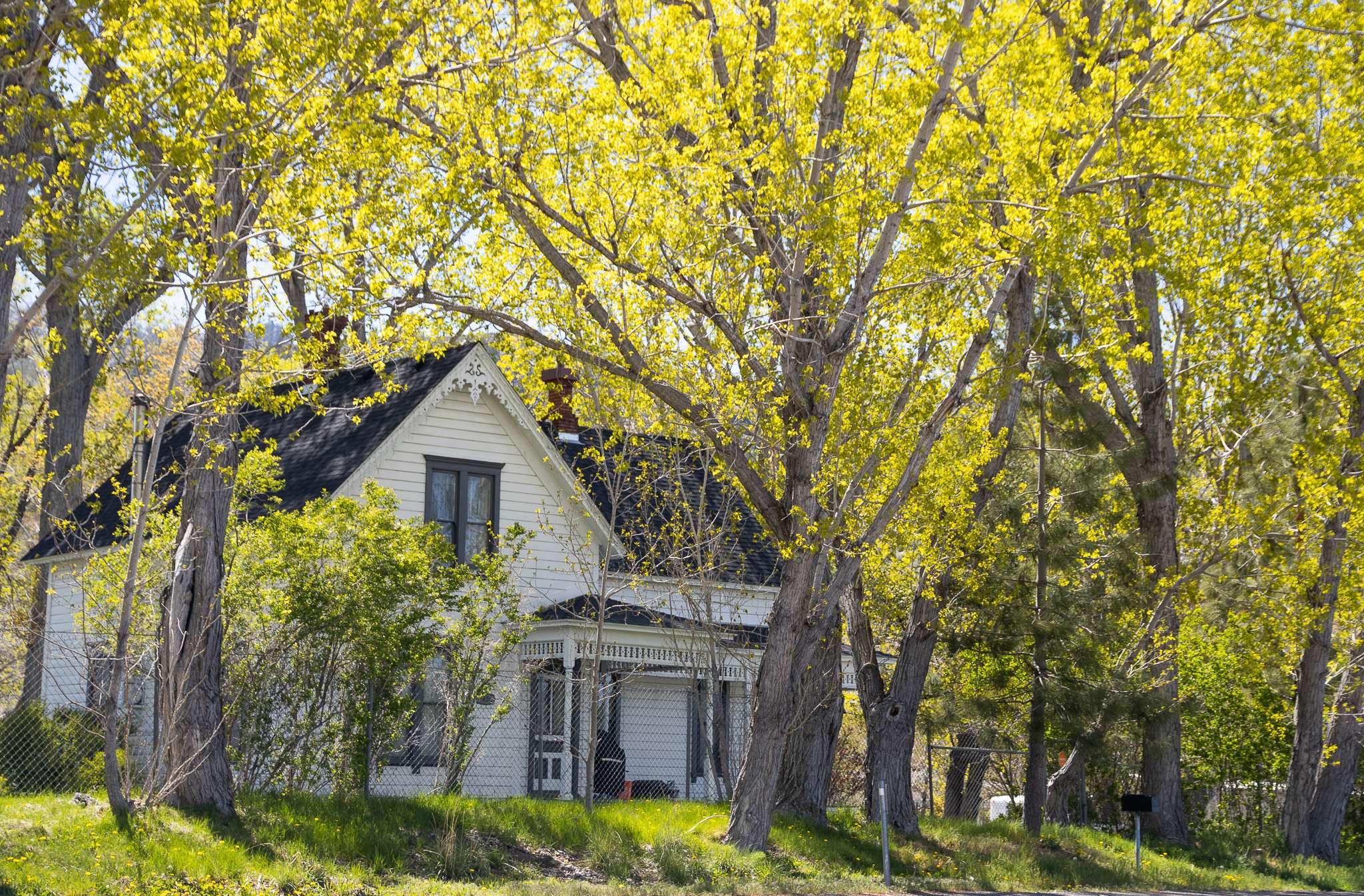 Lakeview - NEVADA GHOST TOWNS & BEYOND