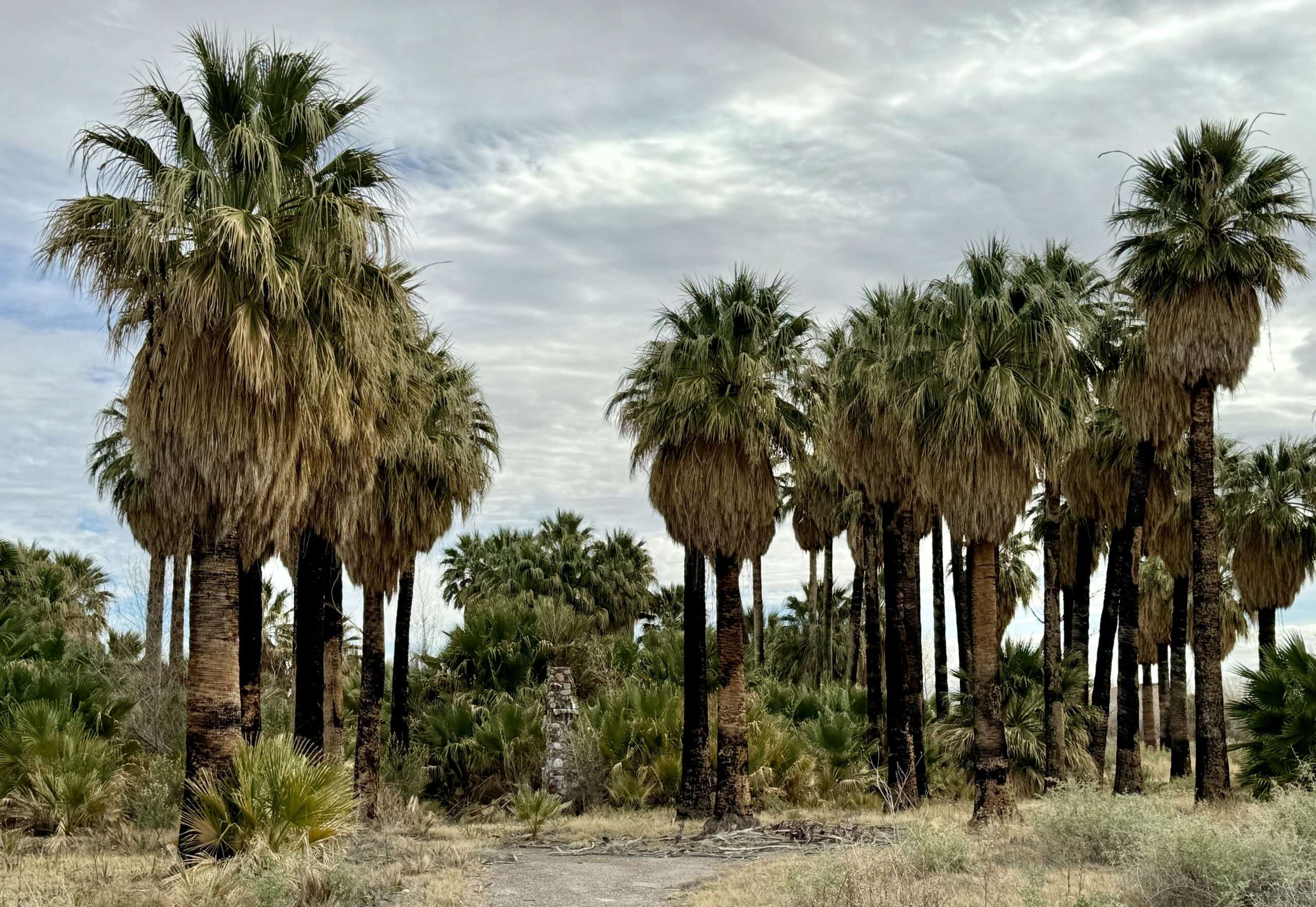 Warm Springs Warmsprings Ghost town abandoned roadside station Clark County Nevada NV