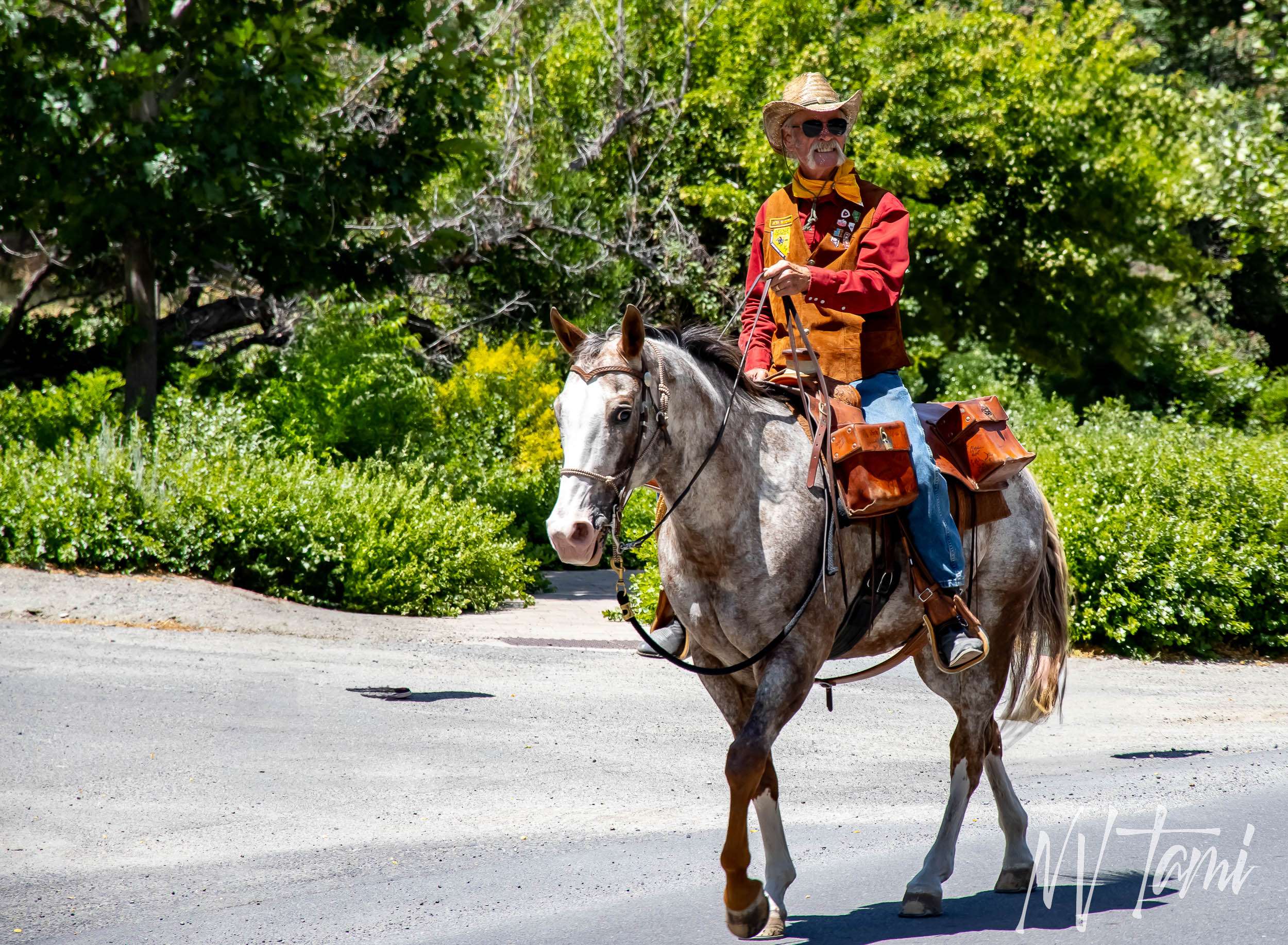 Pony Express Ride 2024 NEVADA GHOST TOWNS & BEYOND