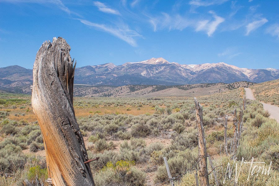 Genoa Carson to Aurora Bodie Toll Road Nevada California ghost town abandoned wagon freight roads