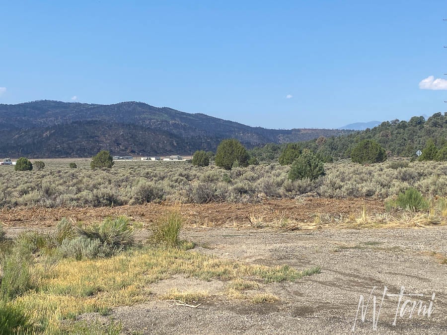 Genoa Carson to Aurora Bodie Toll Road Nevada California ghost town abandoned wagon freight roads Double Springs