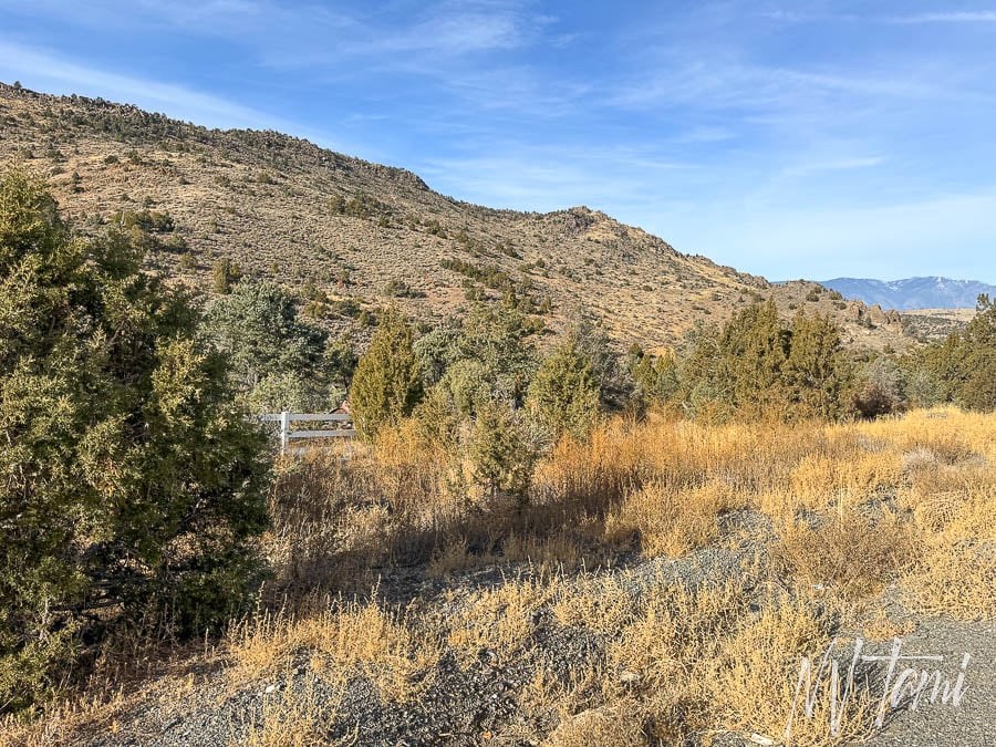 Genoa Carson to Aurora Bodie Toll Road Nevada California ghost town abandoned wagon freight roads Carter's Station