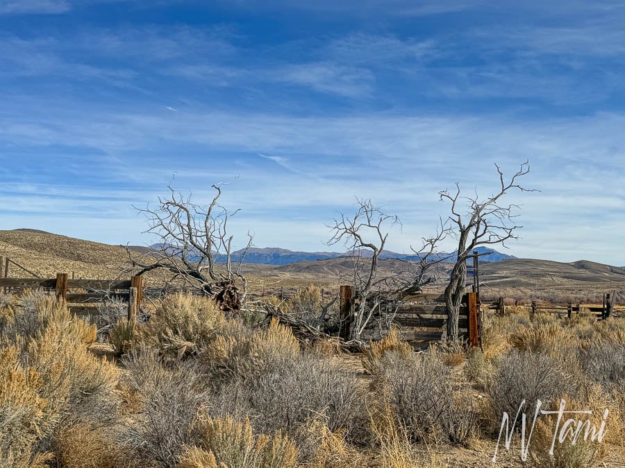 Genoa Carson to Aurora Bodie Toll Road Nevada California ghost town abandoned wagon freight roads Conway 
