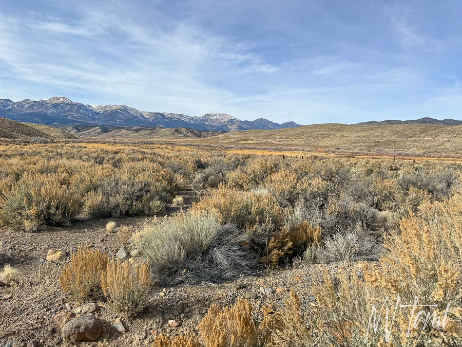 Genoa Carson to Aurora Bodie Toll Road Nevada California ghost town abandoned wagon freight roads Conway 
