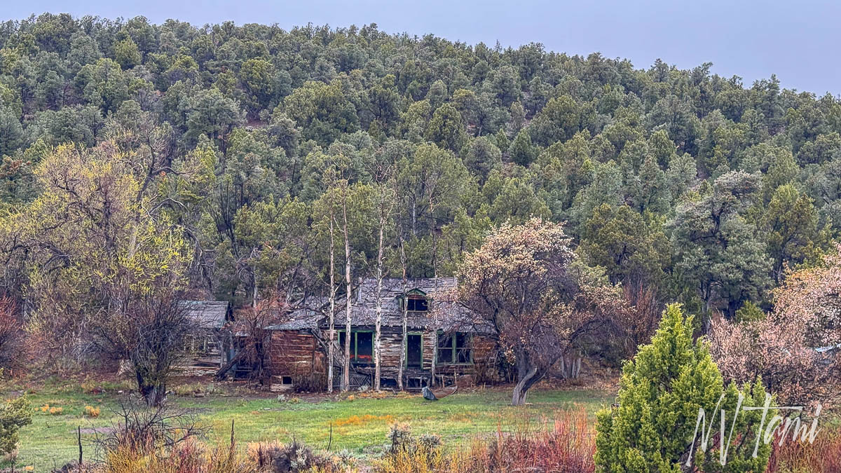 Lincoln County Nevada, NV ghost towns abandoned near me Pioche Deer Lodge Deerlodge
