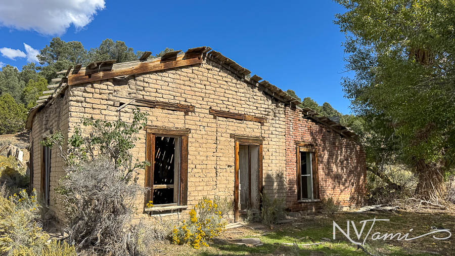 Ghost Towns mining camp mill Nye County Reese River abandoned Nevada Washington
