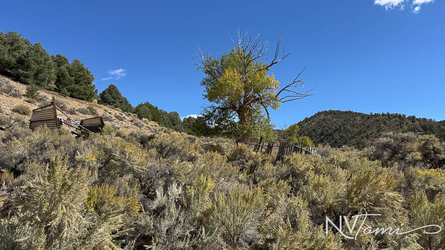 Ghost Towns mining camp mill Nye County Reese River abandoned Nevada Washington