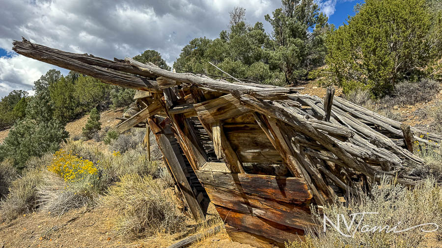 Ghost Towns mining camp mill Nye County Reese River abandoned Nevada Washington