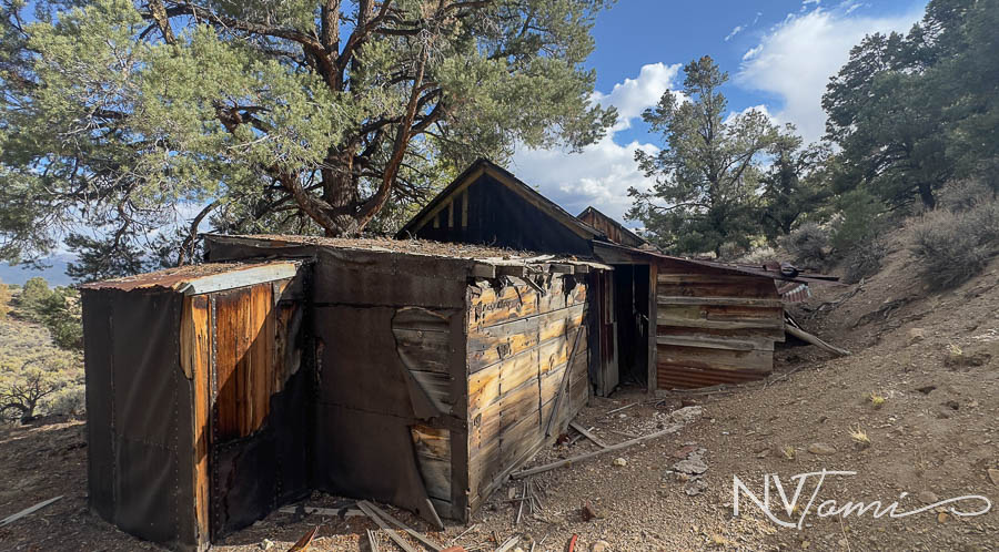 Ghost Towns mining camp mill Nye County Reese River abandoned Nevada Washington Ullaine