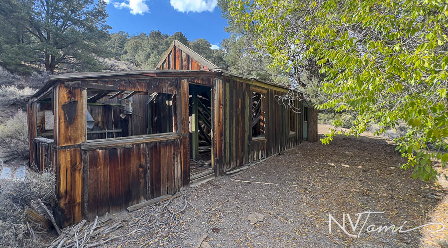 Ghost Towns mining camp mill Nye County Reese River abandoned Nevada Washington Ullaine