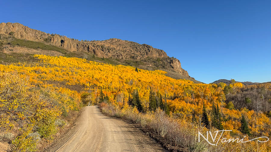 Elko County Nevada Ghost towns abandoned near me Jarbidge
