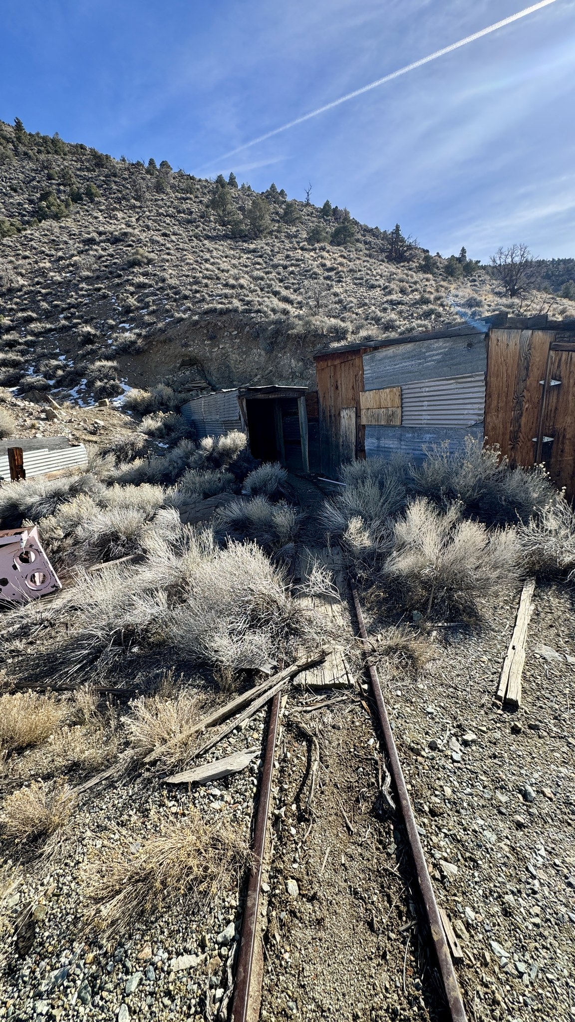 Qualey's Camp Mine Mineral County Nevada ghost Town near Hawthorne Mono Lake