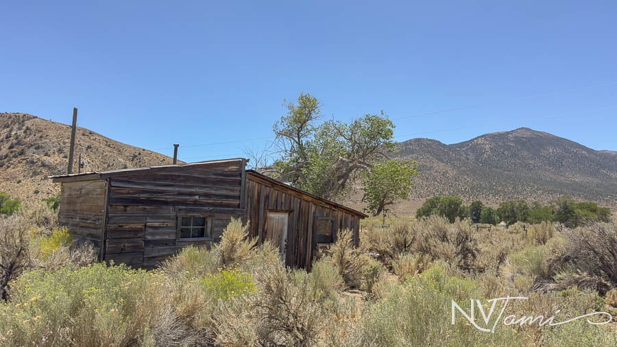 Esmeralda County Nevada Ghost Towns abandoned near Goldfield ruins Lida