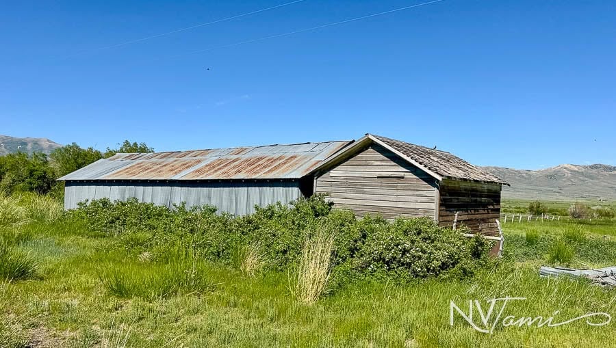 Arthur Nevada Ghost Town Elko County