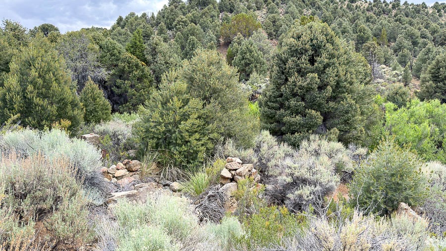 Nevada Ghost Towns Lander County Abandoned Ruins Yankee Blade Mason's Tavern