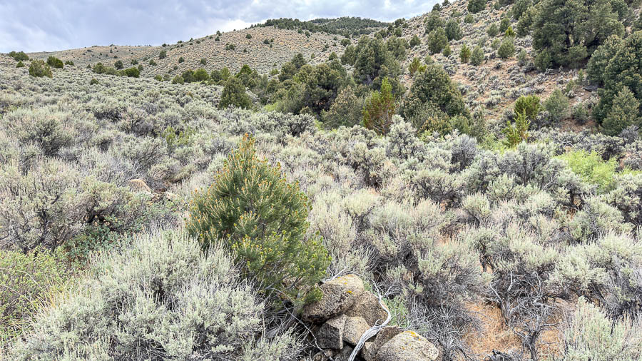 Nevada Ghost Towns Lander County Abandoned Ruins Yankee Blade Mason's Tavern
