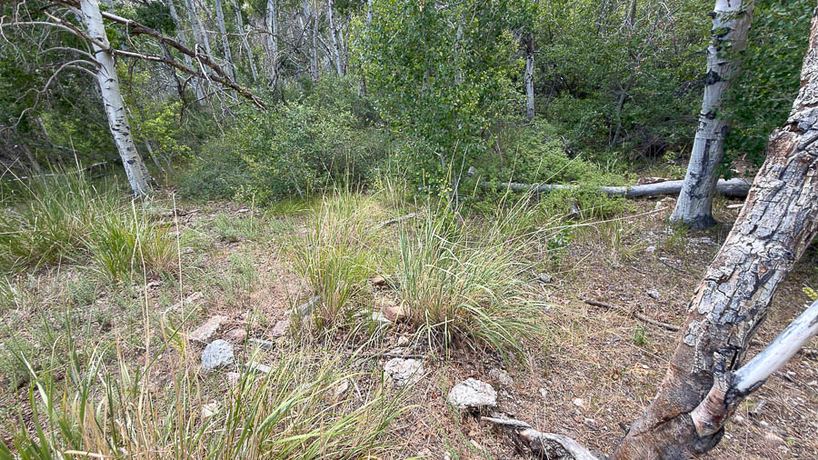 Nevada Ghost Towns White Pine County Abandoned Ruins Siergel Centerville